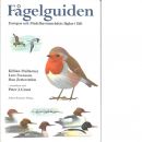 Fågelguiden : Europas och Medelhavsområdets fåglar i fält - Grant, Peter J.