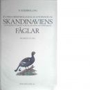 Skandinaviens Danmarks, Sveriges, Norges, Islands och Färöarnas fåglar : Icones ornithologiae Scandinavicae - Kjærbølling, Niels