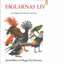 Fåglarnas liv : grundläggande handbok för ornitologer - Fisher, James och Peterson, Roger Tory