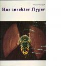 Hur insekter flyger - Werner Nachtigall