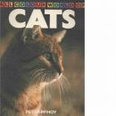 ALL COLOUR BOOK OF CATS - Towe, Elisabeth