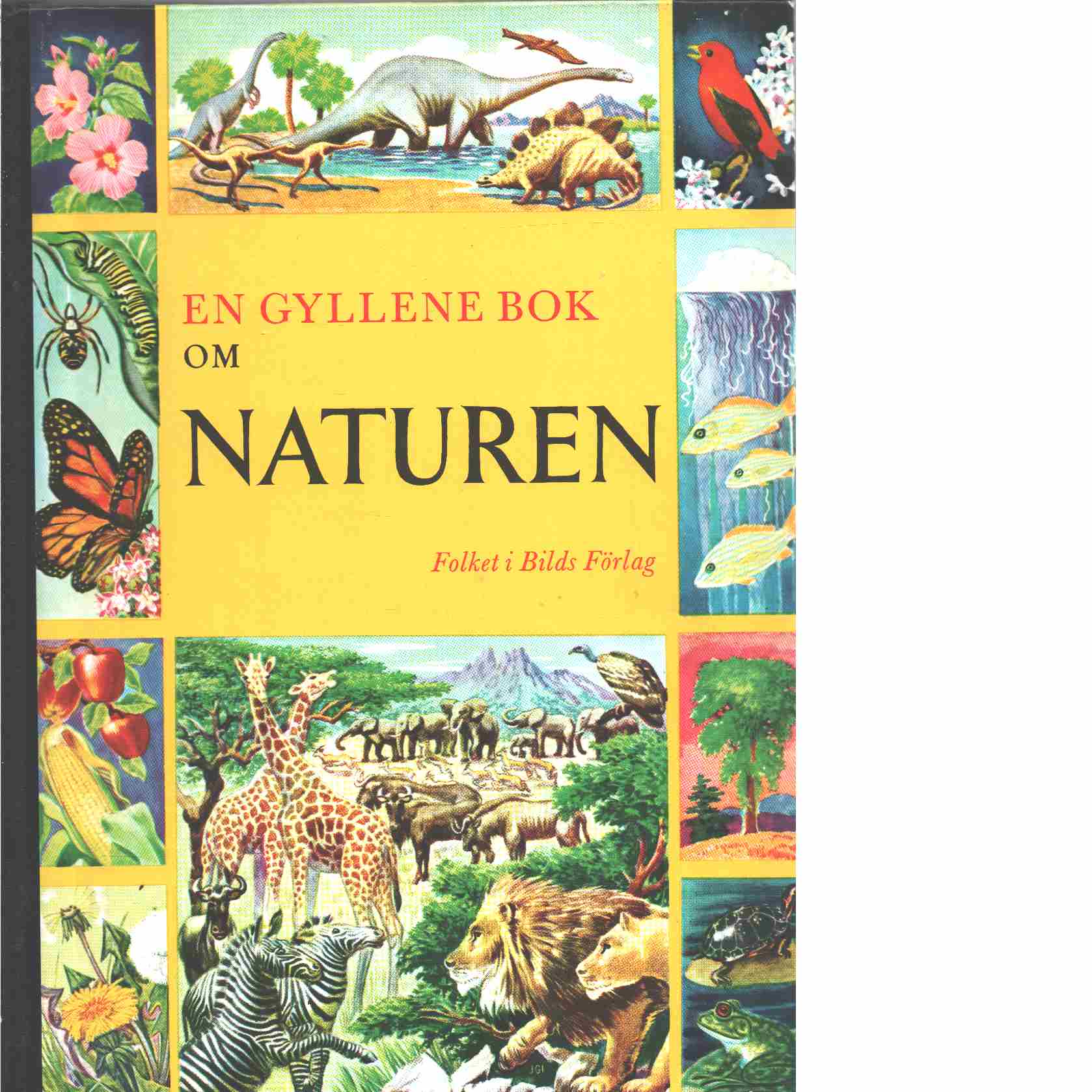 En gyllene bok om naturen : naturhistoria för yngre och äldre - Parker, Bertha Morris