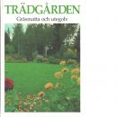 Trädgården. Gräsmatta och utegolv  - Red.