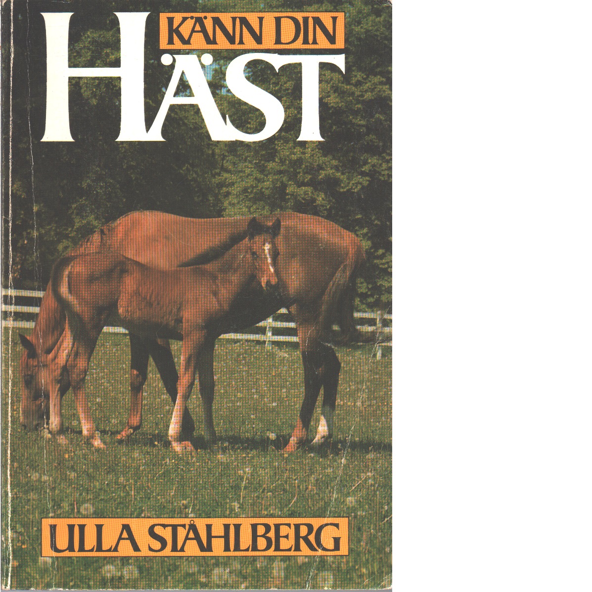 Känn din häst : teori för svenska ryttarmärket - Ståhlberg, Ulla