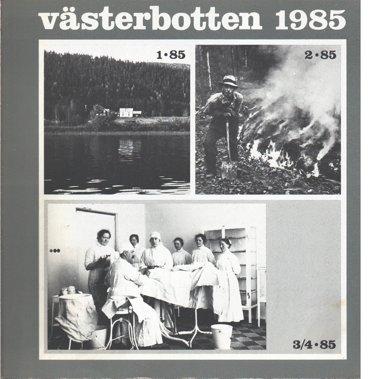 Västerbotten 1985 : Västerbottens läns hembygdsförenings årsbok - Red.