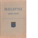 Skellefteå stads historia / på uppdrag av Skellefteå stad skriven till 100-årsjubileet  - Fahlgren, Karl