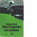 Albert Engström och Småland - Sallnäs, Hilding