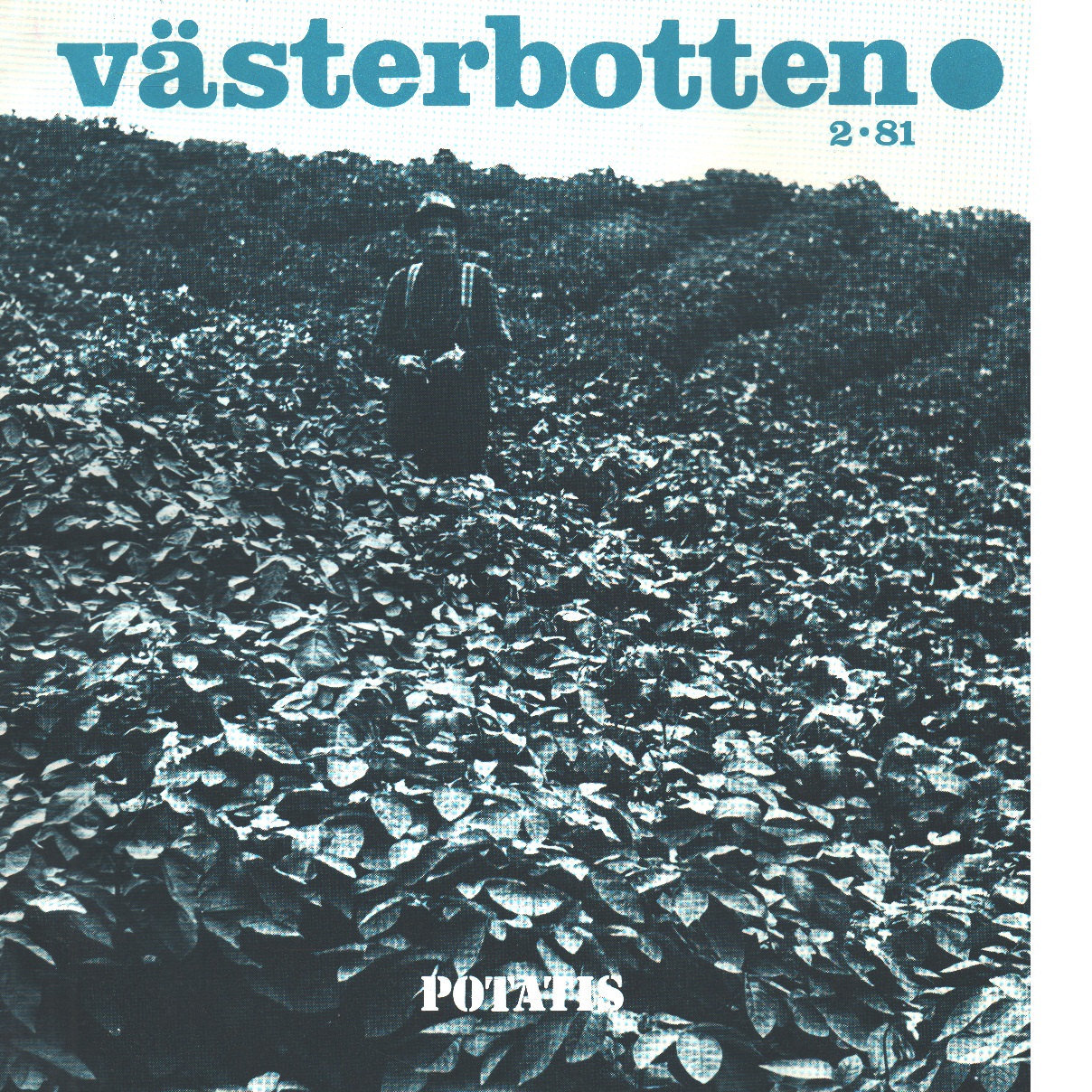 Västerbotten 2 : Västerbottens läns hembygdsförenings årsbok 1981 - Red.