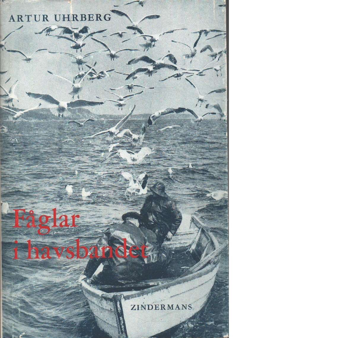 Fåglar i havsbandet : bilder från Bohuskusten - Uhrberg, Artur