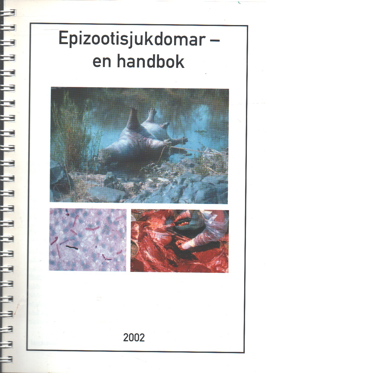 Epizootisjukdomar - en handbok - Red.