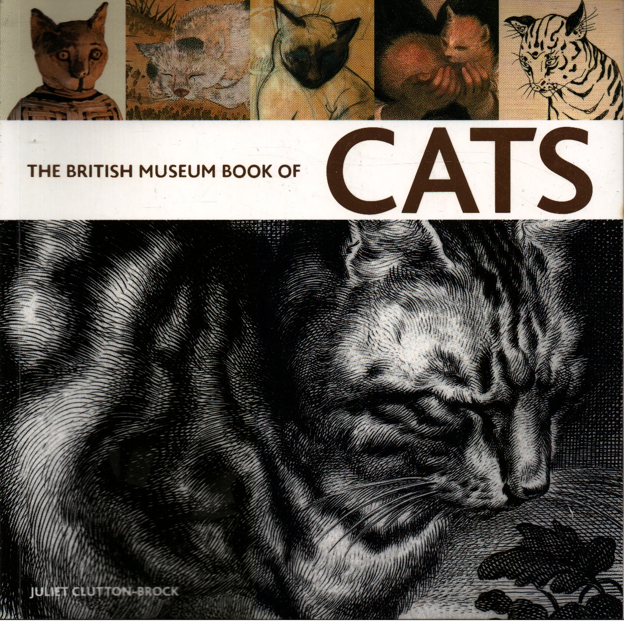 British Museum Book of Cats - Clutton Brock, Juliet