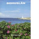 Bohuslän : årsbok. 1998, [kust och hav] - Redaktion: Overland, Viveka och Engelbrektsson, Marlene