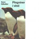 Pingviner i vind : en reseskildring från Falklandsöarna - Gillsäter, Sven