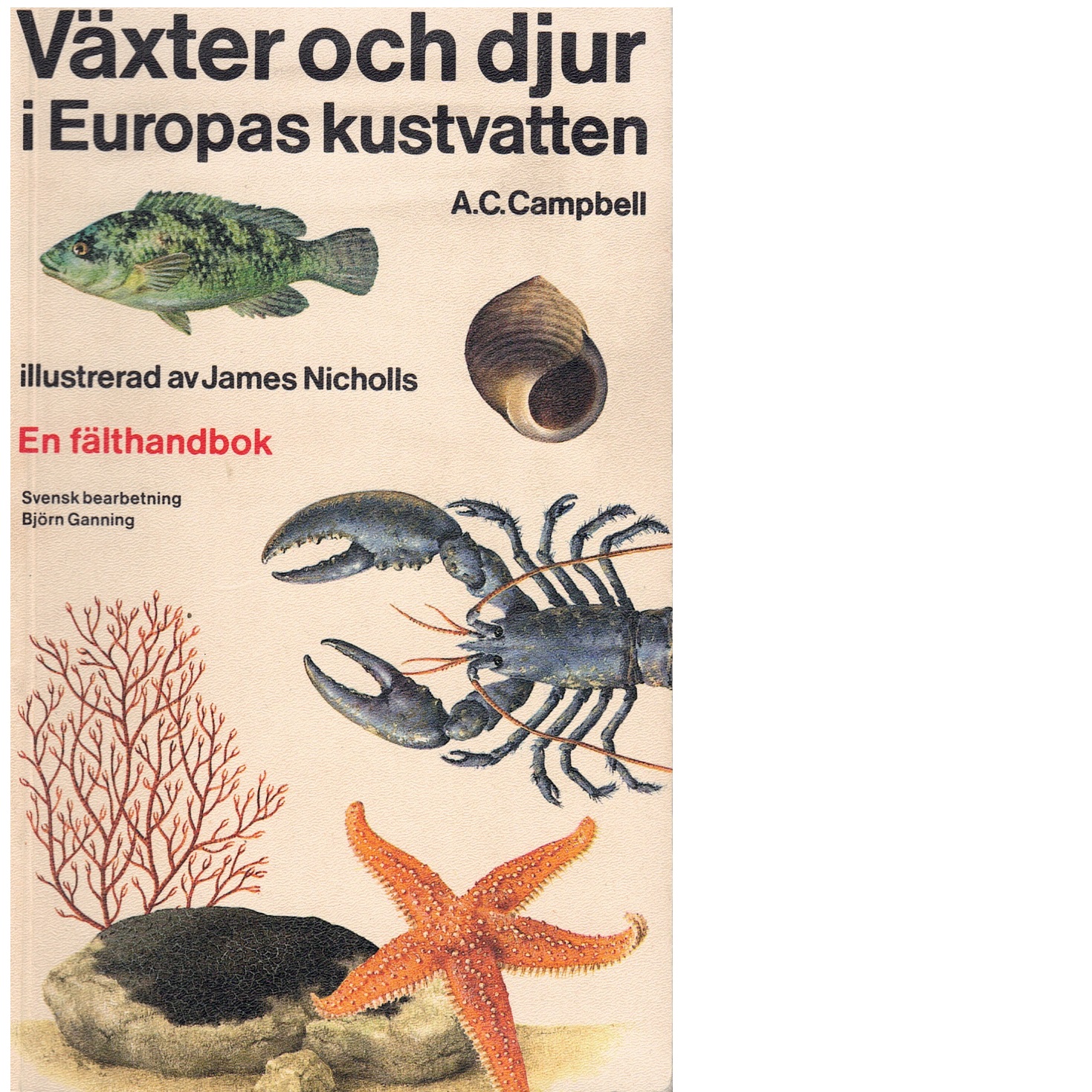 Växter och djur i Europas kustvatten : en fälthandbok - Campbell, Andrew Campbell