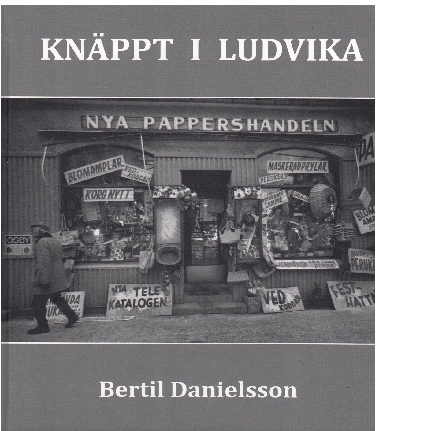 Knäppt i Ludvika : staden, fritiden, gästerna, människorna - Danielsson, Bertil