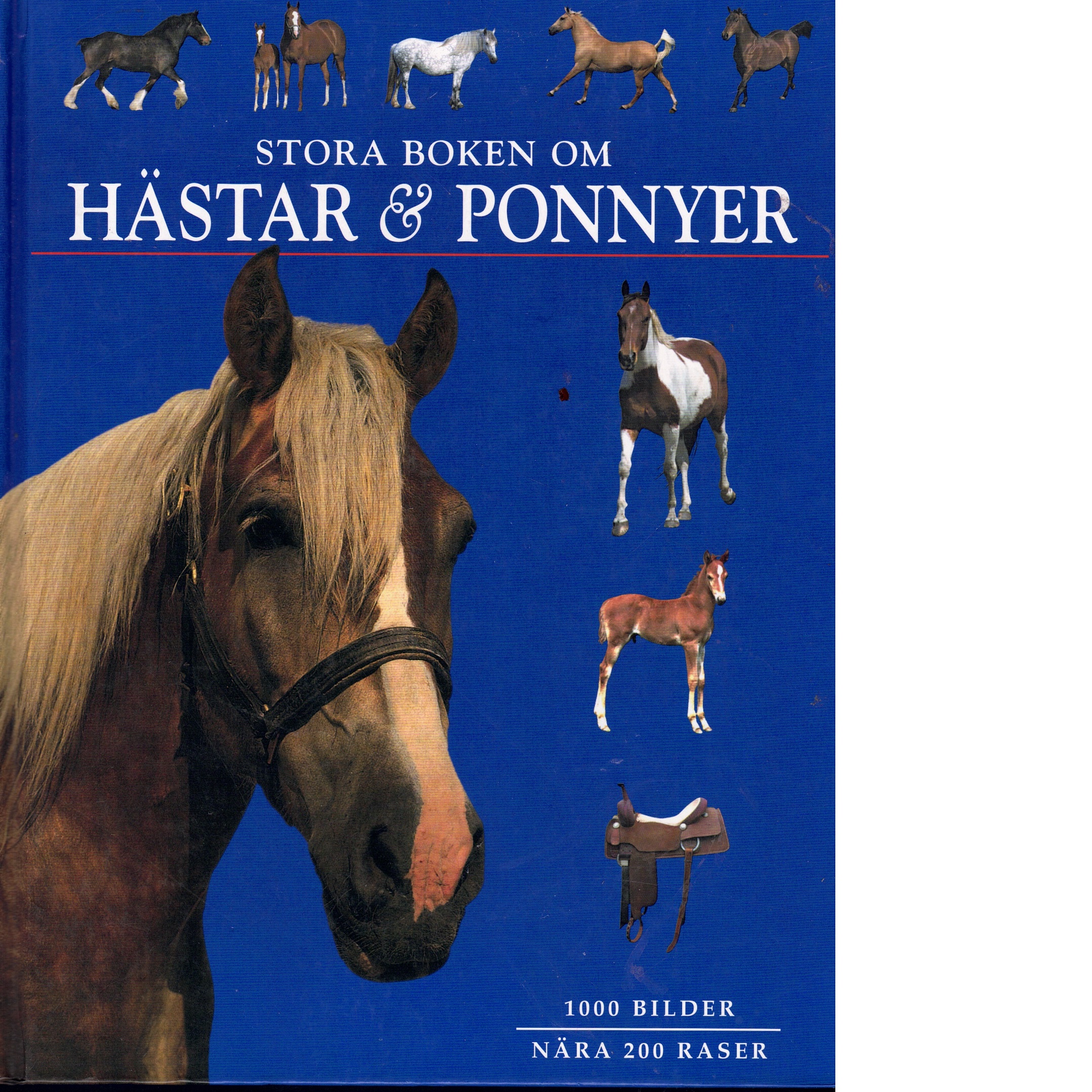 Stora boken om hästar & ponnyer - Pickeral, Tamsin