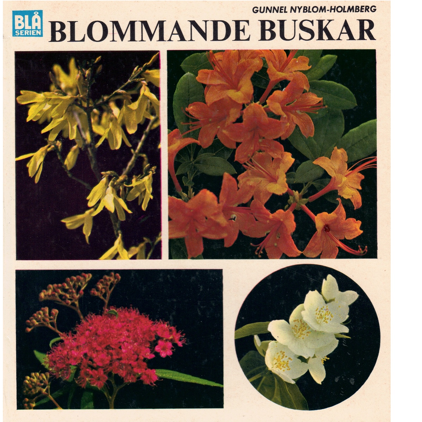 Blommande buskar - Nyblom-Holmberg, Gunnel
