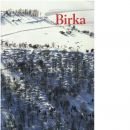 Birka - Ambrosiani, Björn