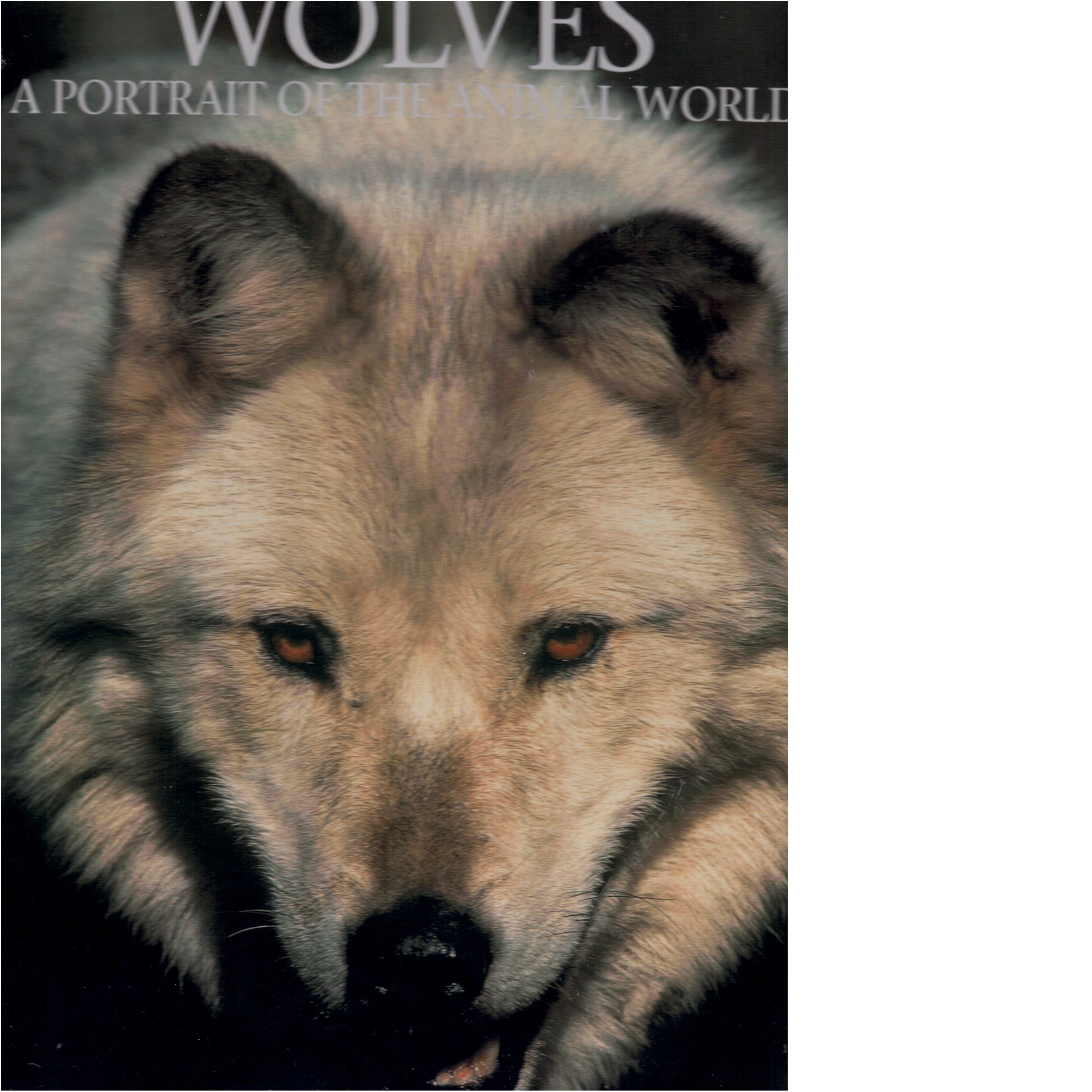 Wolves: A Portrait of the Animal World - Lee Rue,  Leonard