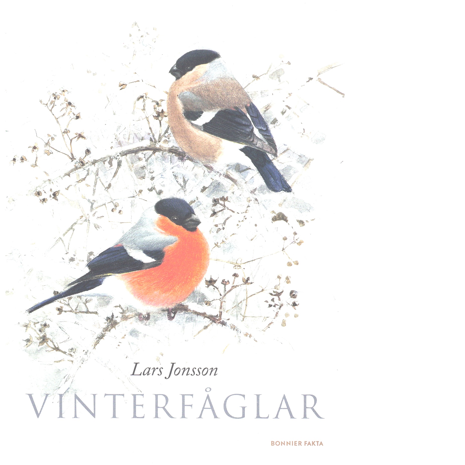 Vinterfåglar - Jonsson, Lars