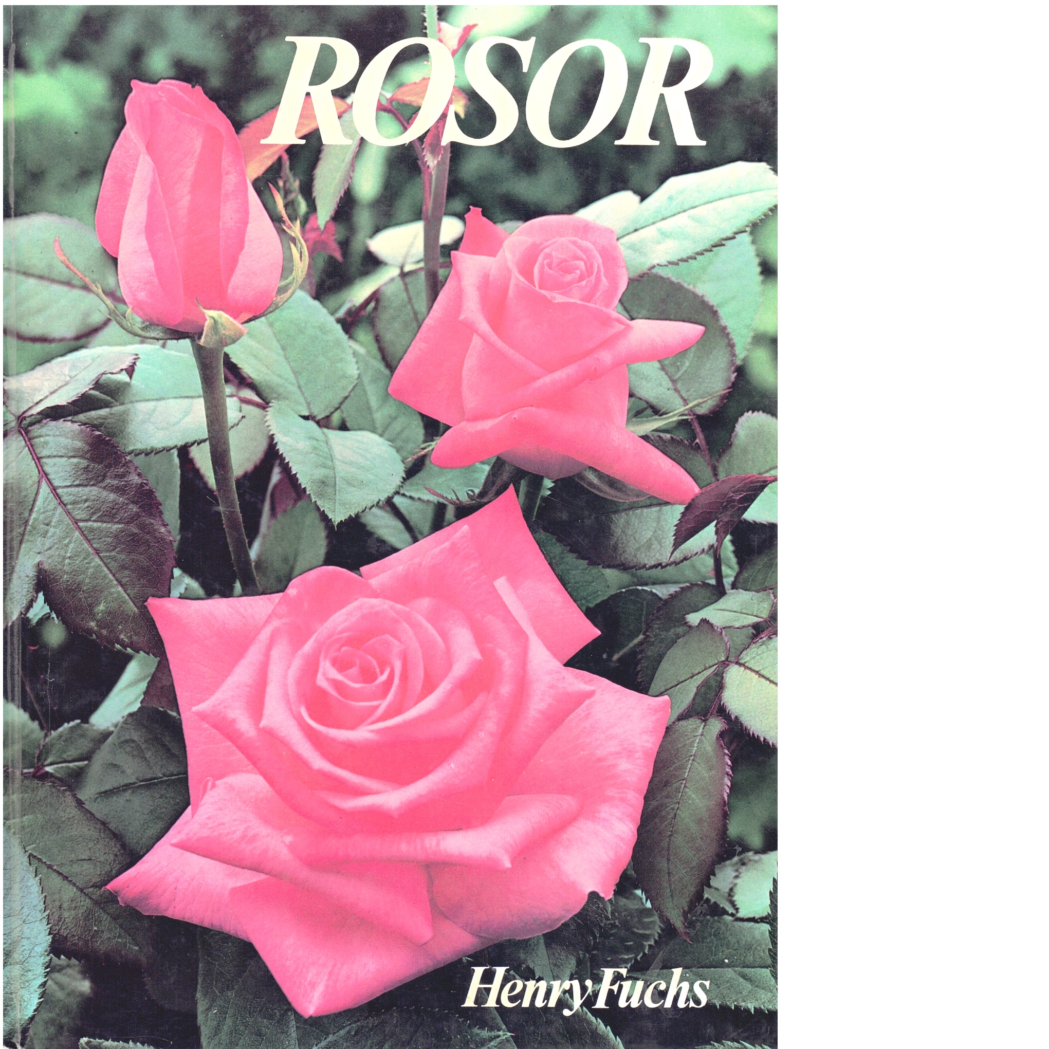 Rosor - Fuchs, Henry
