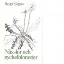 Nässlor och nyckelblomster : kringblickar i växtvärlden - Sjögren, Bengt