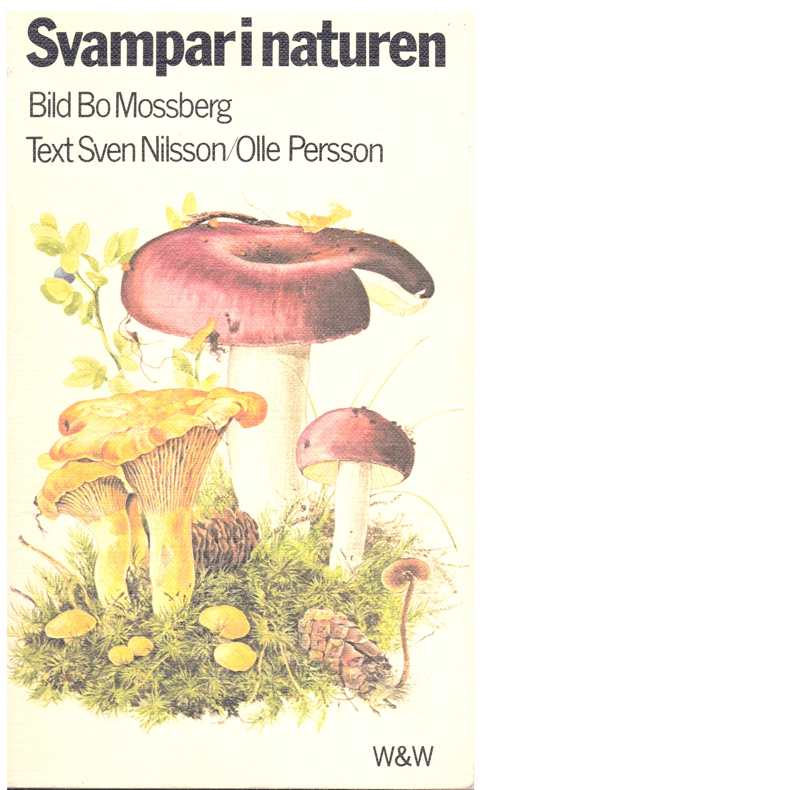 Svampar i naturen - Mossberg, Bo