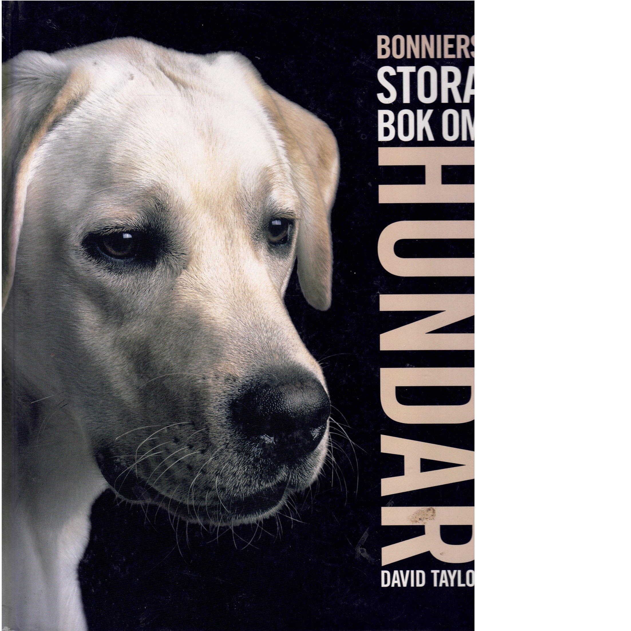 Bonniers stora bok om hundar - Taylor, David