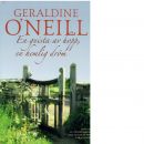 En gnista av hopp, en hemlig dröm - O'Neill, Geraldine