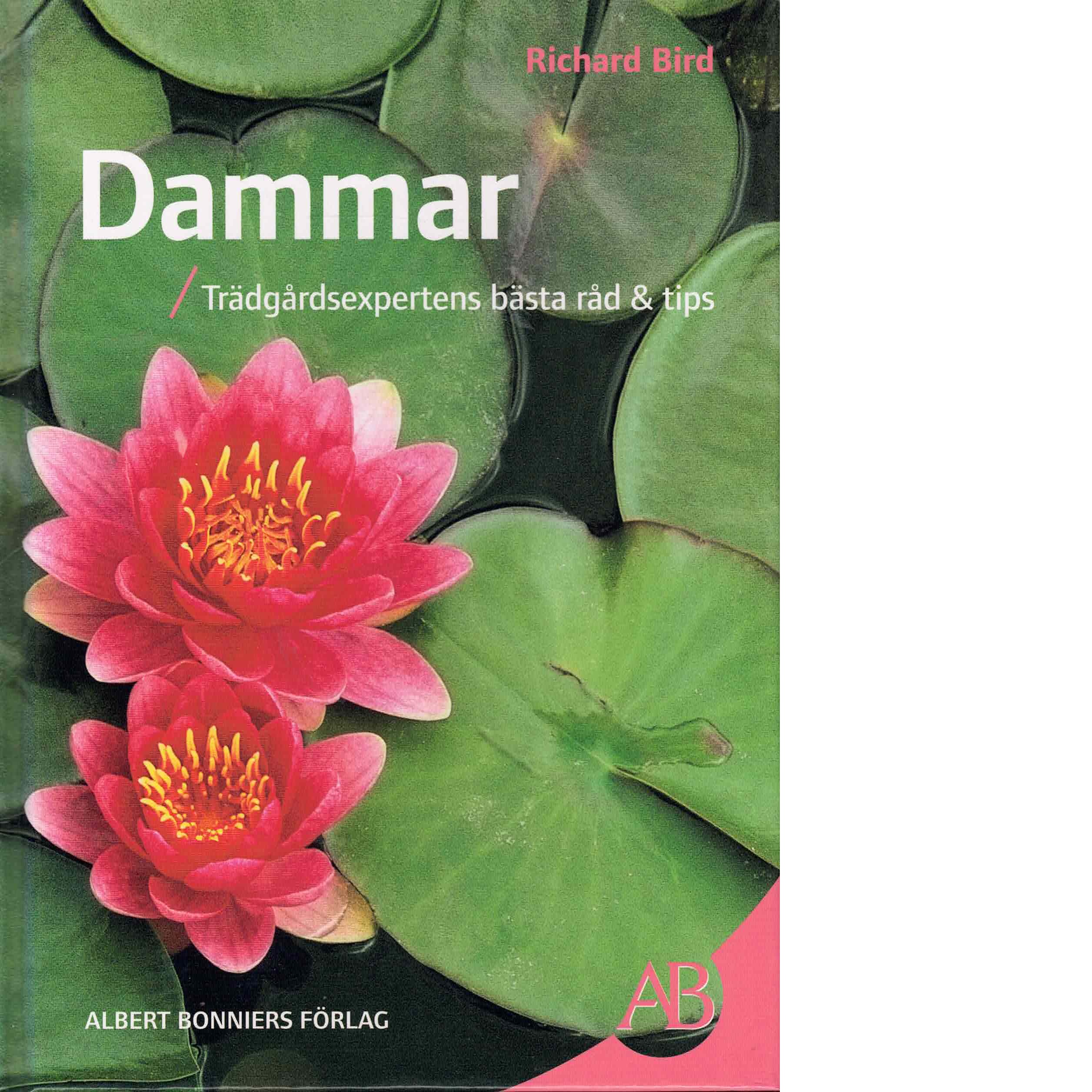 Dammar : trädgårdsexpertens bästa råd & tips - Bird, Richard