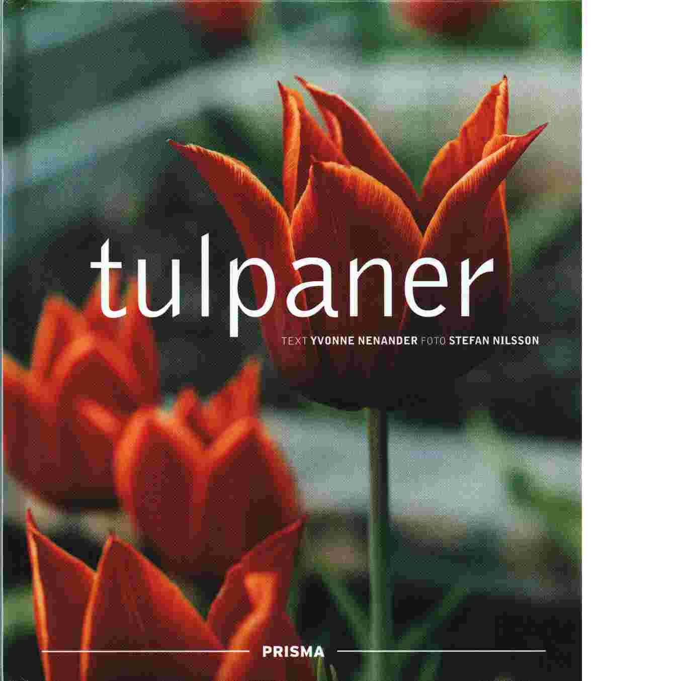 Tulpaner - Nenander, Yvonne