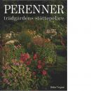 Perenner : trädgårdens stöttepelare - Tingdal Britta